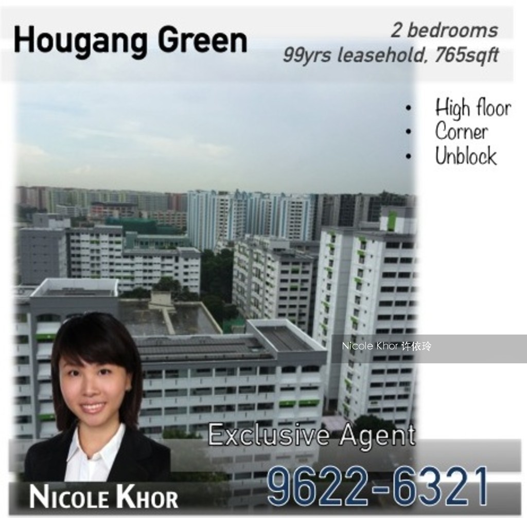Hougang Green (D19), Apartment #117578232